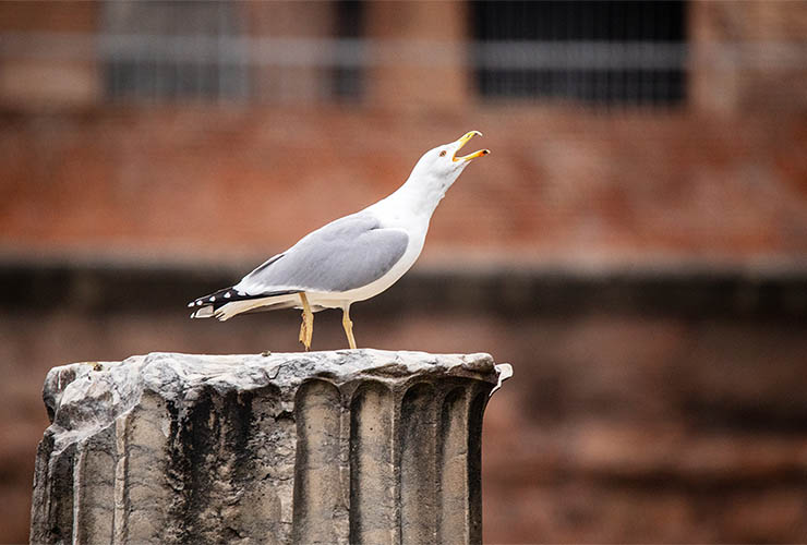 Corso in gruppo di fotografia a Roma