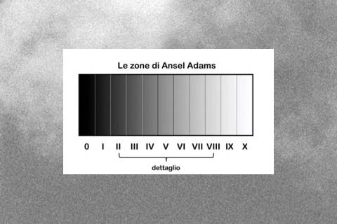 Lezione online sull'utilizzo dell'esposimetro interno della fotocamera